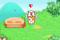screenshots/Game Boy Advance/Hamtaro - Ham-Ham Heartbreak/Hamtaro - Ham-Ham Heartbreak (Eng) 007.png
